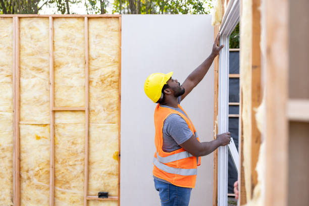 Best Insulation Replacement Services  in Erwin, TN