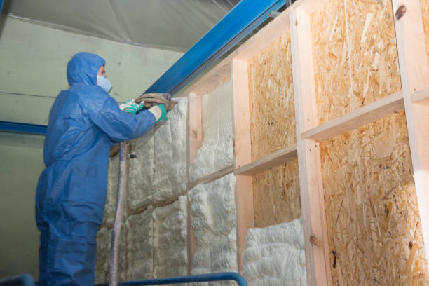 Best Cellulose Insulation  in Erwin, TN